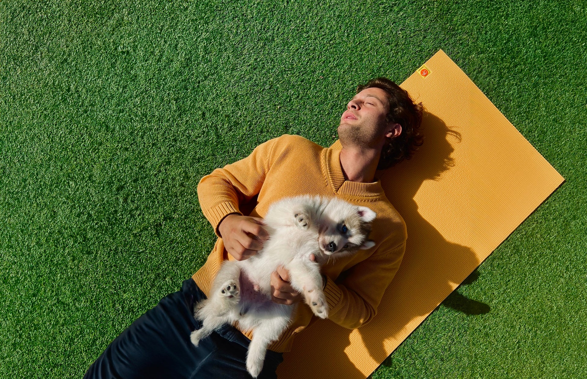Unleash Zen with Adorable Puppies